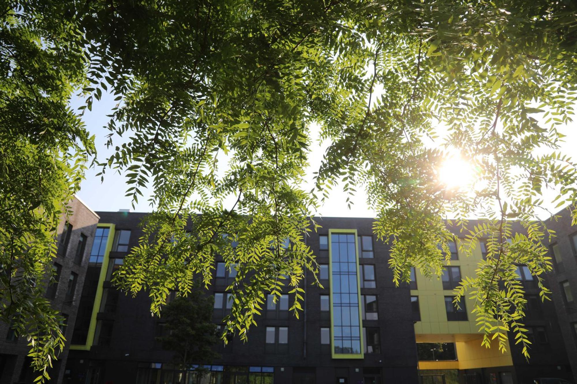 Goldcrest Village Rooms University Of Galway Extérieur photo